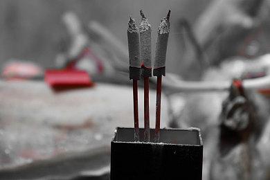 《森林》续作《森林之子》将于明年5月20日上市